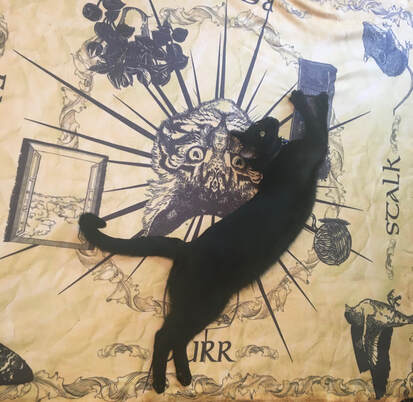 Photo of a black cat laying down on the Feline Oracle spirit blanket